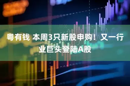 粤有钱 本周3只新股申购！又一行业巨头登陆A股