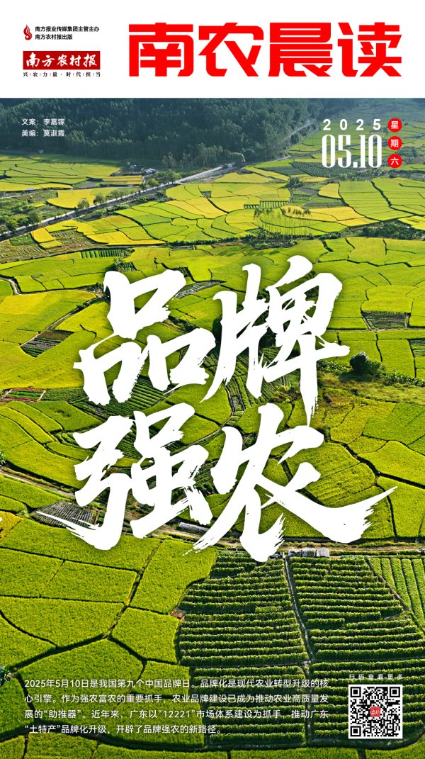 鼎冠策略 南农晨读 | 品牌强农