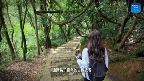 深富策略 体验云南 | 通海日记