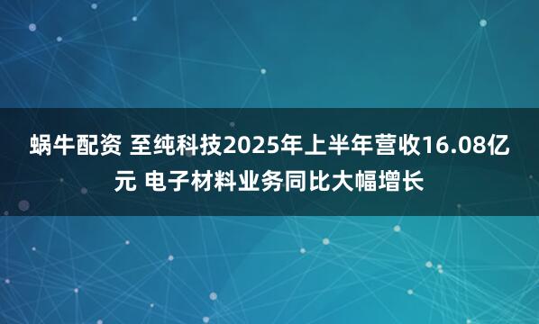 蜗牛配资 至纯科技2025年上半年营收16.08亿元 电子材料业务同比大幅增长