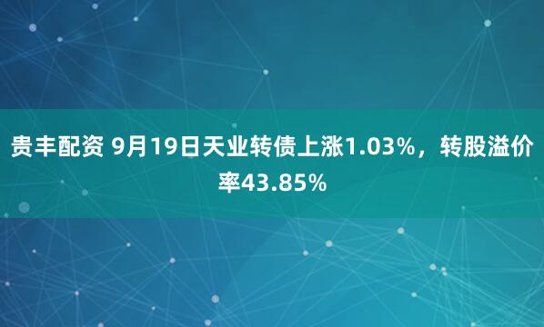 贵丰配资 9月19日天业转债上涨1.03%，转股溢价率43.85%