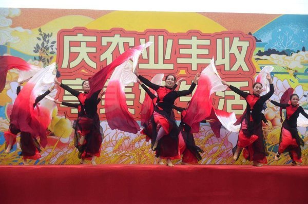 大赢家 河北沧州：欢庆“中国农民丰收节” 展示金秋好“丰”景